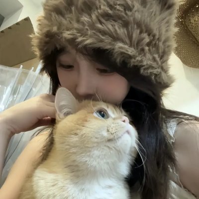 手机人生